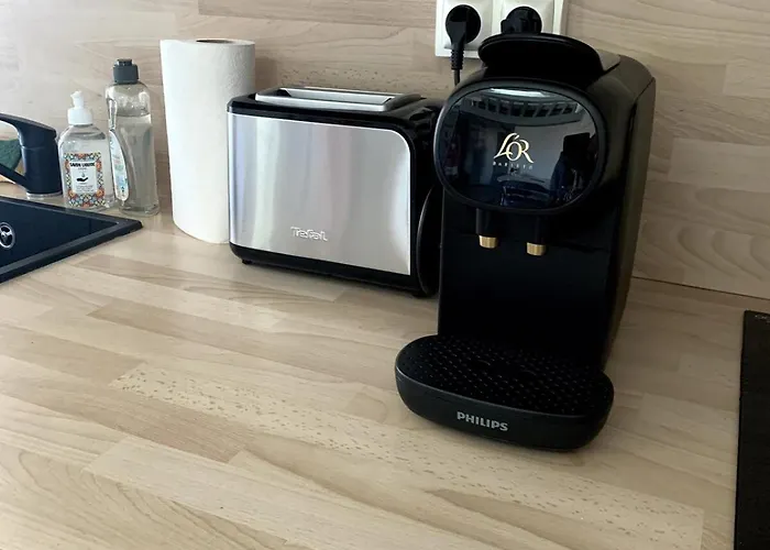 דירה Petit Du Palais