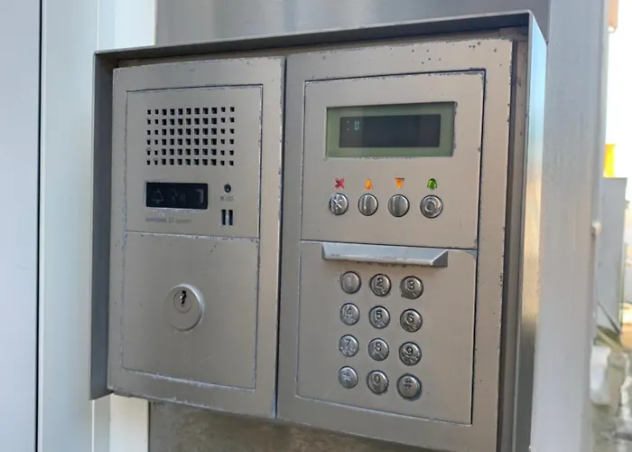 Petit Du Palais Les Sables-dʼOlonne