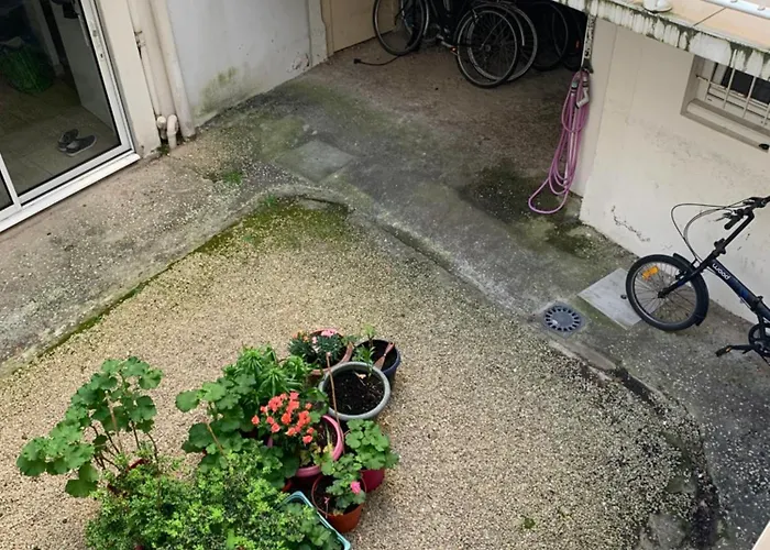 דירה Petit Du Palais