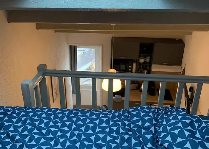 Petit Du Palais 公寓 *