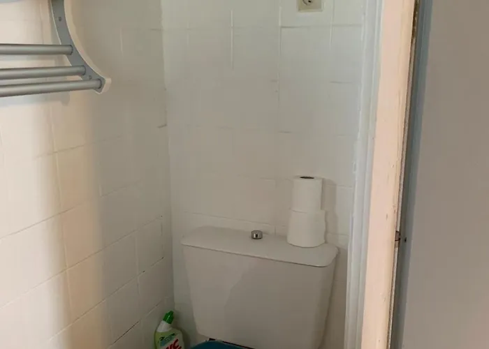 Petit Du Palais 莱萨布勒-多洛讷