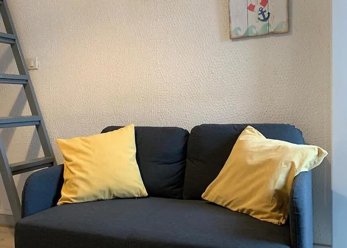 Petit Du Palais 公寓