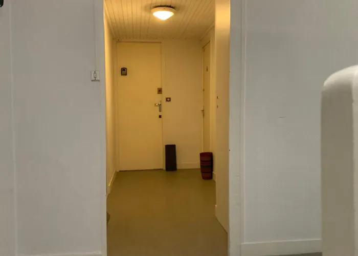 Petit Du Palais 公寓 莱萨布勒-多洛讷